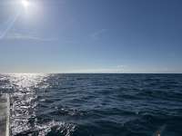 Great day of scuba diving in Key Largo with Rainbow Reef on crf nursery tropical adventure 2025 09 30 r18967 1