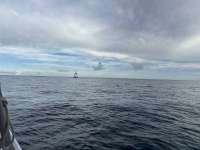 Great day of scuba diving in Key Largo with Rainbow Reef on eagle ray alley tropical destiny 2025 09 22 r18882 1