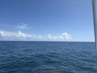 Great day of scuba diving in Key Largo with Rainbow Reef on eagle ray alley tropical legend 2025 09 27 r18949 1