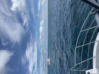 Great day of scuba diving in Key Largo with Rainbow Reef on fire coral cave tropical adventure 2025 09 13 r18811 1