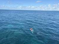 Great day of scuba diving in Key Largo with Rainbow Reef on fire coral cave tropical legend 2025 09 26 r18938 1