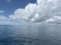Great day of scuba diving in Key Largo with Rainbow Reef on five caves tropical serenity 2025 09 13 r18813 1