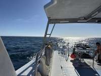 Great day of scuba diving in Key Largo with Rainbow Reef on french reef tropical destiny 2025 09 30 r18970 1