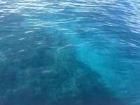 Great day of scuba diving in Key Largo with Rainbow Reef on jjs cave tropical odyssey 2025 09 23 r18898 1