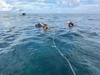 Great day of scuba diving in Key Largo with Rainbow Reef on molasses reef tropical odyssey 2025 09 22 r18890 1