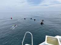 Great day of scuba diving in Key Largo with Rainbow Reef on molasses reef tropical serenity 2025 09 15 r18828 1