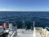 Great day of scuba diving in Key Largo with Rainbow Reef on molasses reef tropical serenity 2025 09 20 r18858 1