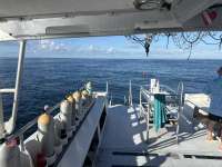 Great day of scuba diving in Key Largo with Rainbow Reef on molasses reef tropical serenity 2025 09 25 r18911 1