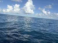 Great day of scuba diving in Key Largo with Rainbow Reef on nine channel tropical legend 2025 09 27 r18945 1