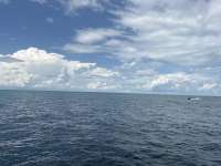 Great day of scuba diving in Key Largo with Rainbow Reef on nine channel tropical odyssey 2025 09 21 r18875 1