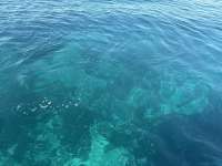 Great day of scuba diving in Key Largo with Rainbow Reef on snapper ledge tropical legend 2025 09 26 r18932 1