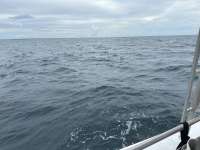 Great day of scuba diving in Key Largo with Rainbow Reef on snapper ledge tropical serenity 2025 09 04 r18767 1