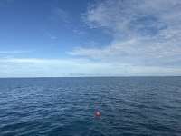Great day of scuba diving in Key Largo with Rainbow Reef on snapper ledge tropical serenity 2025 09 12 r18851 1