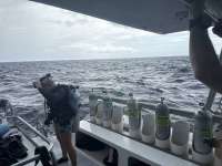 Great day of scuba diving in Key Largo with Rainbow Reef on spiegel grove tropical destiny 2025 09 06 r18777 1