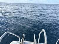 Great day of scuba diving in Key Largo with Rainbow Reef on spiegel grove tropical destiny 2025 09 12 r18805 1