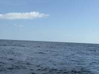 Great day of scuba diving in Key Largo with Rainbow Reef on spiegel grove tropical odyssey 2025 09 01 r18754 1
