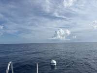Great day of scuba diving in Key Largo with Rainbow Reef on spiegel grove tropical odyssey 2025 09 08 r18789 1