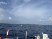 Great day of scuba diving in Key Largo with Rainbow Reef on spiegel grove tropical odyssey 2025 09 09 r18793 1