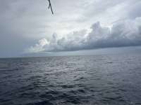 Great day of scuba diving in Key Largo with Rainbow Reef on spiegel grove tropical odyssey 2025 09 17 r18839 1