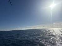 Great day of scuba diving in Key Largo with Rainbow Reef on spiegel grove tropical odyssey 2025 09 19 r18855 1