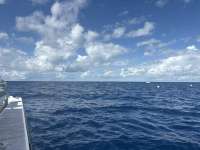 Great day of scuba diving in Key Largo with Rainbow Reef on spiegel grove tropical odyssey 2025 09 21 r18873 1