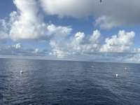 Great day of scuba diving in Key Largo with Rainbow Reef on spiegel grove tropical odyssey 2025 09 23 r18895 1