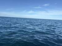 Great day of scuba diving in Key Largo with Rainbow Reef on turtle ledges tropical destiny 2025 09 20 r18859 1