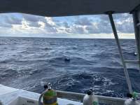 Great day of scuba diving in Key Largo with Rainbow Reef on uscgc duane tropical destiny 2025 09 06 r18773 1