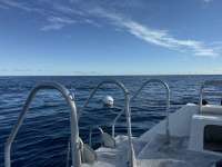 Great day of scuba diving in Key Largo with Rainbow Reef on uscgc duane tropical destiny 2025 09 14 r18818 1