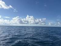 Great day of scuba diving in Key Largo with Rainbow Reef on uscgc duane tropical odyssey 2025 09 21 r18865 1
