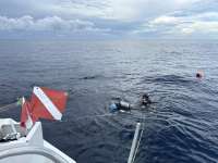 Great day of scuba diving in Key Largo with Rainbow Reef on uscgc duane tropical odyssey 2025 09 22 r18881 1