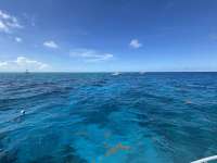 Great day of scuba diving in Key Largo with Rainbow Reef on winch hole tropical destiny 2025 09 24 r18909 1