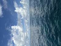 Great day of scuba diving in Key Largo with Rainbow Reef on winch hole tropical serenity 2025 09 23 r18896 1