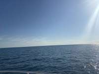 Great day of scuba diving in Key Largo with Rainbow Reef on eagle ray alley tropical legend 2026 04 20 r19646 1