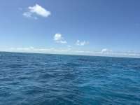 Great day of scuba diving in Key Largo with Rainbow Reef on hard bottom cave tropical legend 2026 04 17 r19631 1