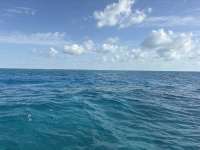Great day of scuba diving in Key Largo with Rainbow Reef on hourglass tropical odyssey 2026 04 23 r19651 1