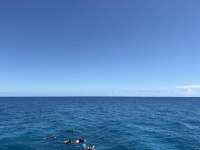 Great day of scuba diving in Key Largo with Rainbow Reef on logans run tropical odyssey 2026 04 08 r19620 1