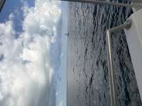 Great day of scuba diving in Key Largo with Rainbow Reef on molasses reef tropical serenity 2026 04 29 r19713 1