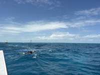 Great day of scuba diving in Key Largo with Rainbow Reef on nine channel tropical destiny 2026 04 24 r19657 1