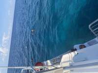 Great day of scuba diving in Key Largo with Rainbow Reef on spanish anchor tropical legend 2026 04 27 r19709 1
