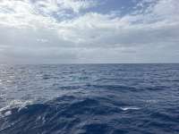 Great day of scuba diving in Key Largo with Rainbow Reef on spiegel grove tropical destiny 2026 04 24 r19655 1