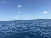Great day of scuba diving in Key Largo with Rainbow Reef on spiegel grove tropical odyssey 2026 04 26 r19706 1