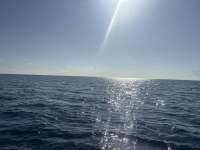 Great day of scuba diving in Key Largo with Rainbow Reef on uscgc duane tropical odyssey 2026 04 27 r19708 1