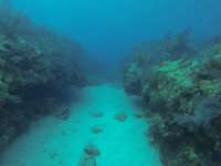 Great day of scuba diving in Key Largo with Rainbow Reef on winch hole tropical serenity 2026 04 05 r19611 2