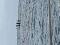 Great day of scuba diving in Key Largo with Rainbow Reef on anchor chain tropical serenity 2026 08 05 r20136 1