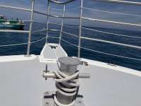 Great day of scuba diving in Key Largo with Rainbow Reef on benwood wreck tropical odyssey 2026 08 13 r20196 1
