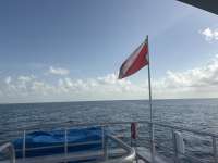 Great day of scuba diving in Key Largo with Rainbow Reef on benwood wreck tropical odyssey 2026 08 23 r20263 1
