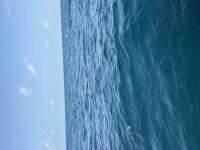 Great day of scuba diving in Key Largo with Rainbow Reef on benwood wreck tropical serenity 2026 08 14 r20197 1
