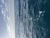 Great day of scuba diving in Key Largo with Rainbow Reef on benwood wreck tropical serenity 2026 08 17 r20223 1