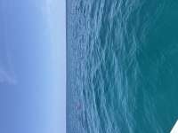 Great day of scuba diving in Key Largo with Rainbow Reef on benwood wreck tropical serenity 2026 08 18 r20234 1